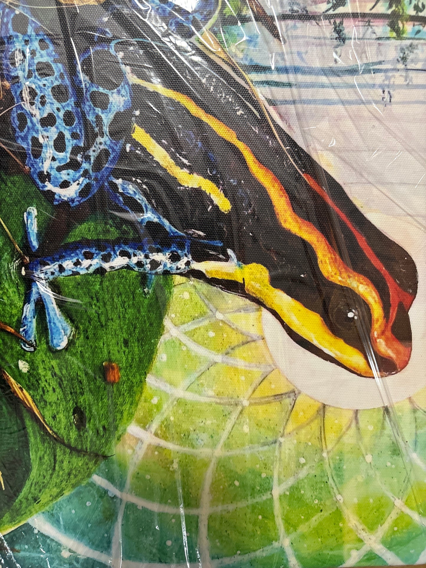 Amphibious - 11 x 14 by Eye of Swiger (Canvas Print)