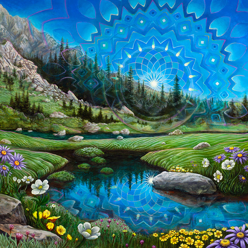 In Full Bloom - 12 x 12 by Morgan Mandala (Canvas Print)