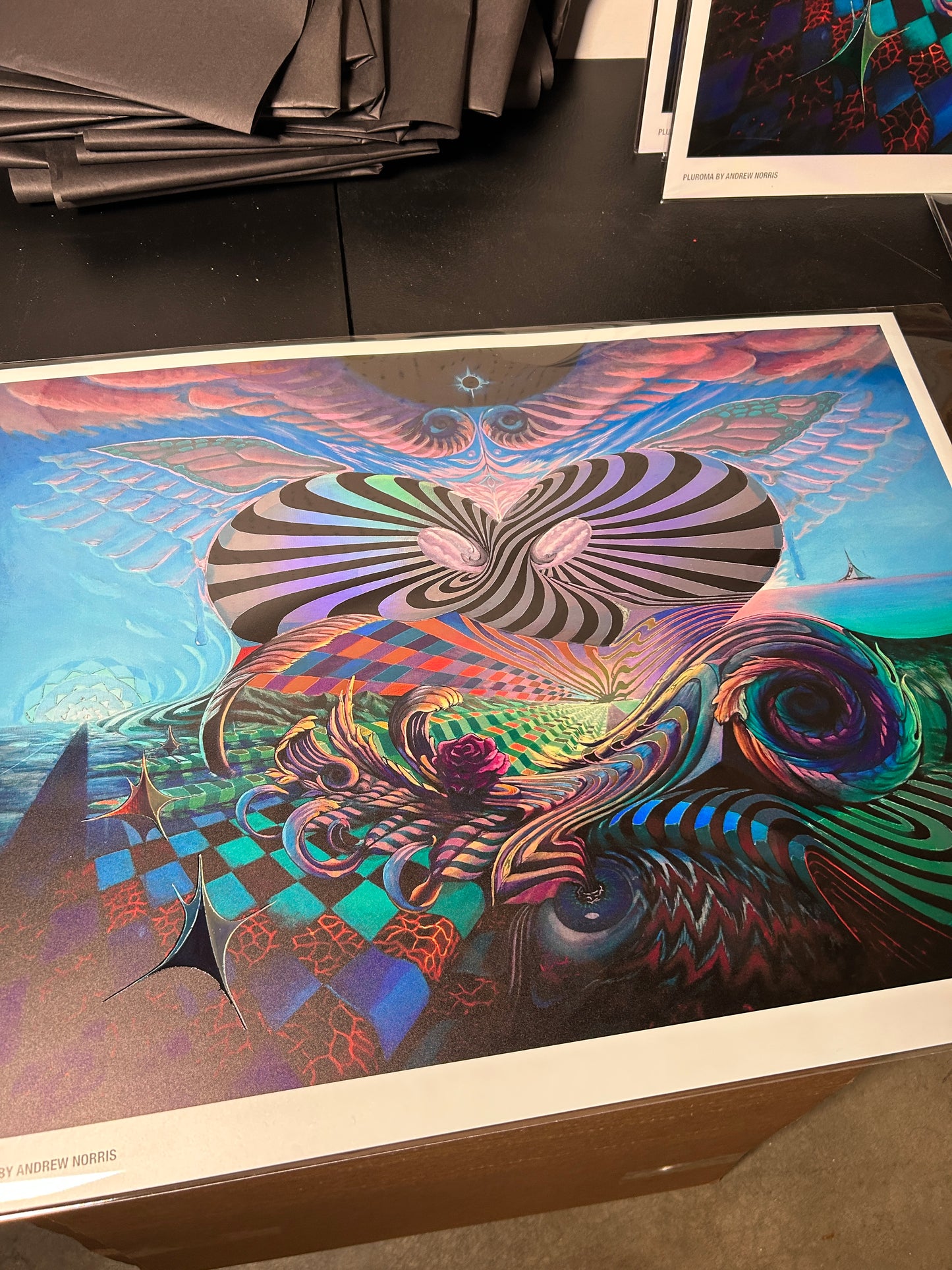 *PLURoma Limited Edition Holographic - 18 x 24 by Andrew Norris Arts (Poster Print)