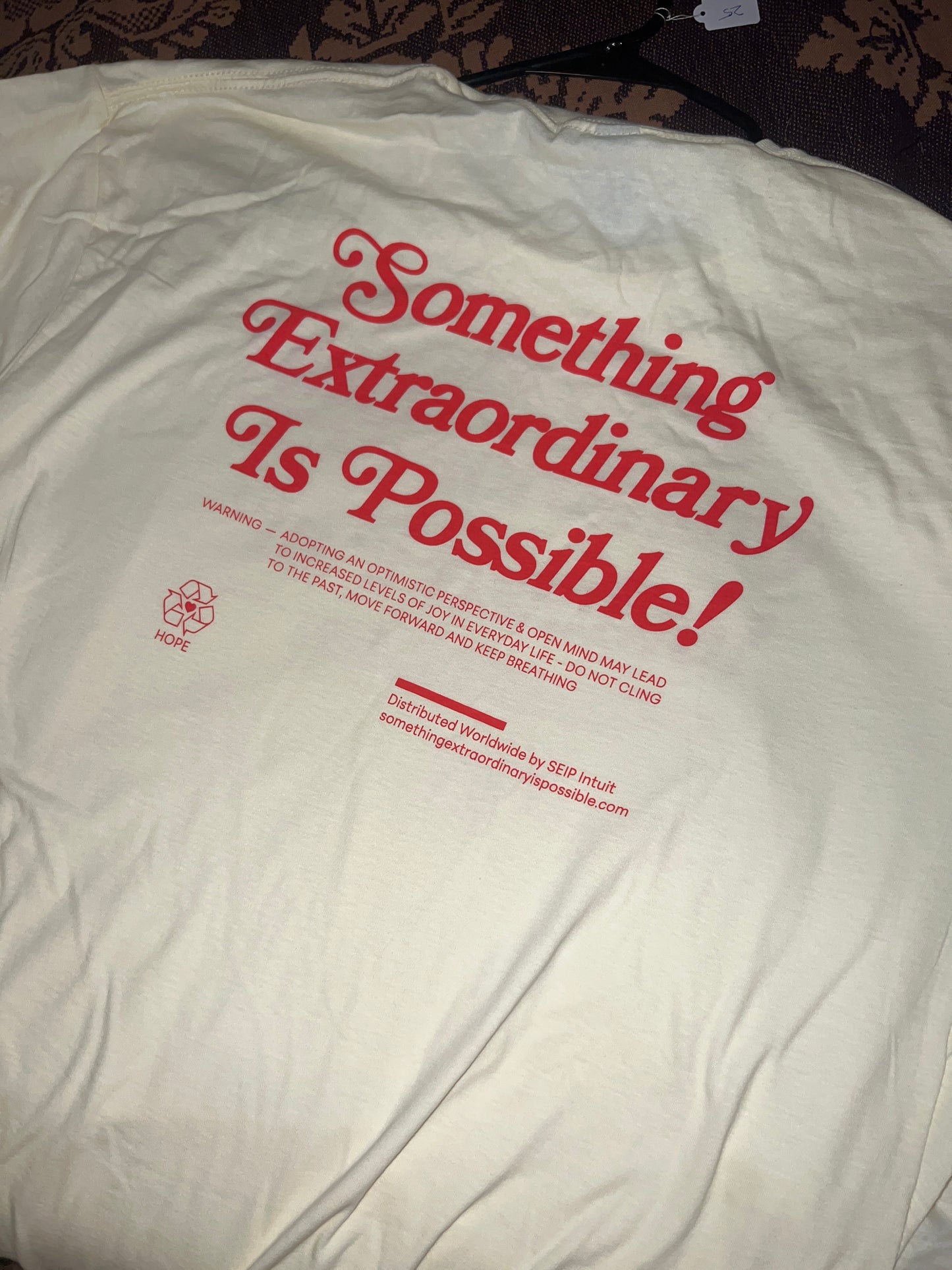 *Something extraordinary is possible t shirt - Extra Large by SEIP (Apparel)