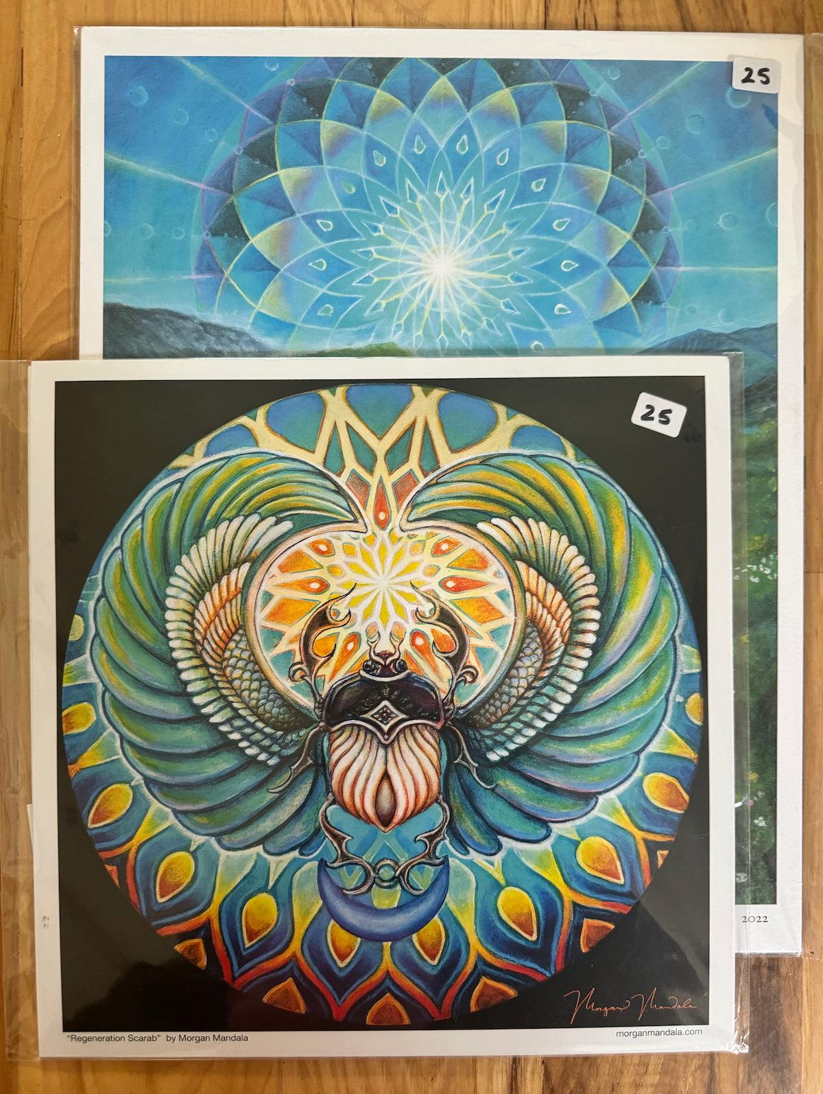 *Combo M,S - 11 x 14 by Morgan Mandala (Poster Print)