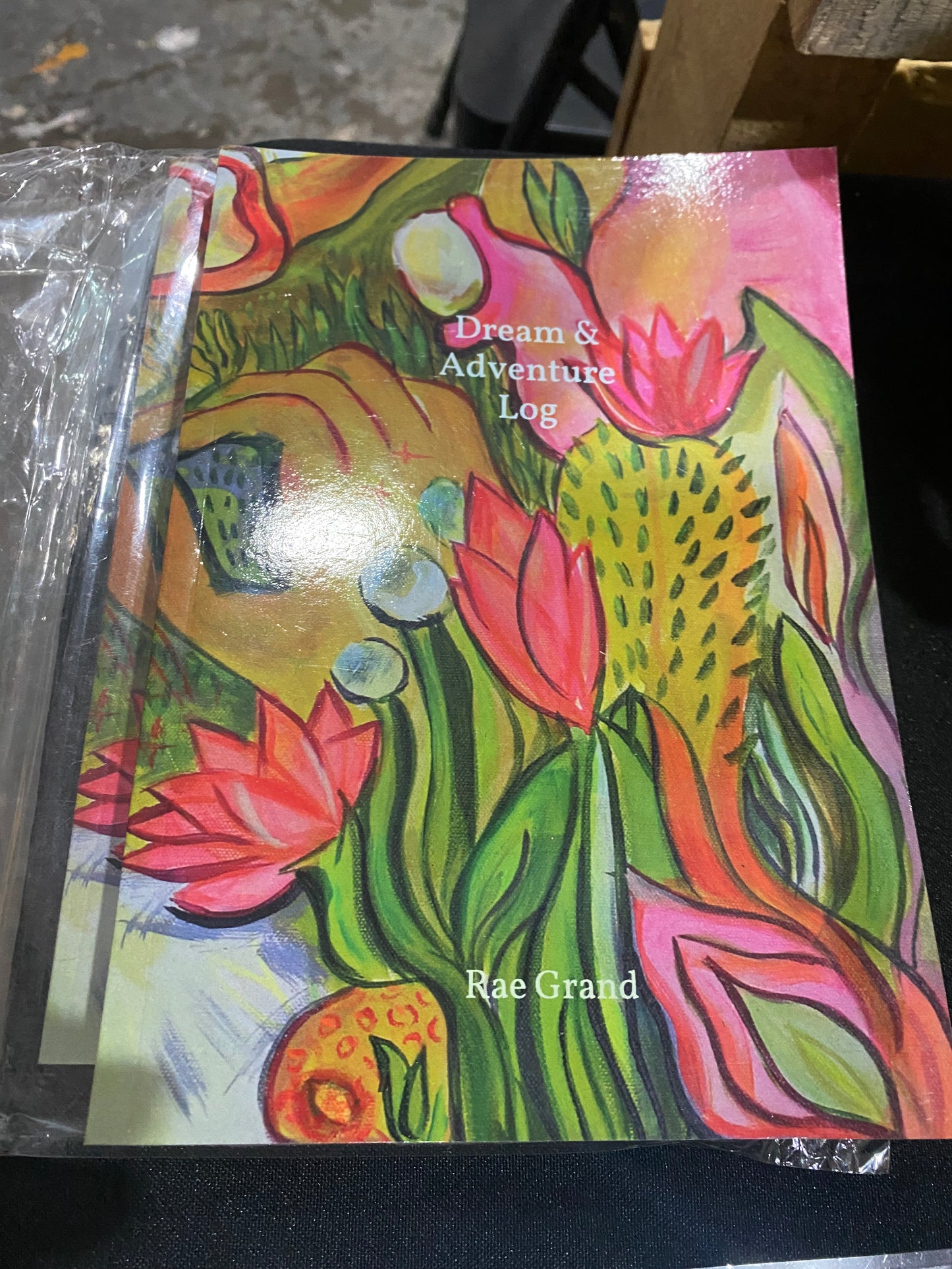 Dream & Adventure Log by Rae Grand (Other)