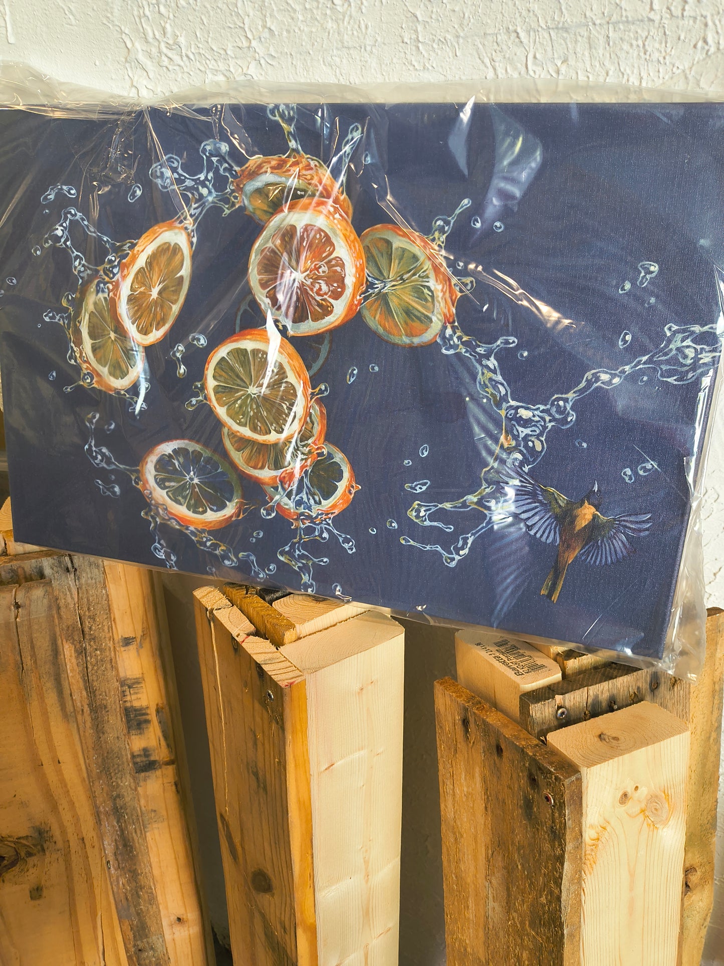The Freshness - 20 x 30 by David Swartz (Canvas Print)