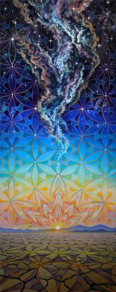 Dust to Dawn - 20 x 8 by Morgan Mandala (Canvas Print)
