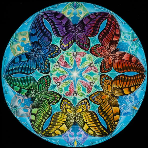Metamorphosis - 8 x 8 by Morgan Mandala (Canvas Print)