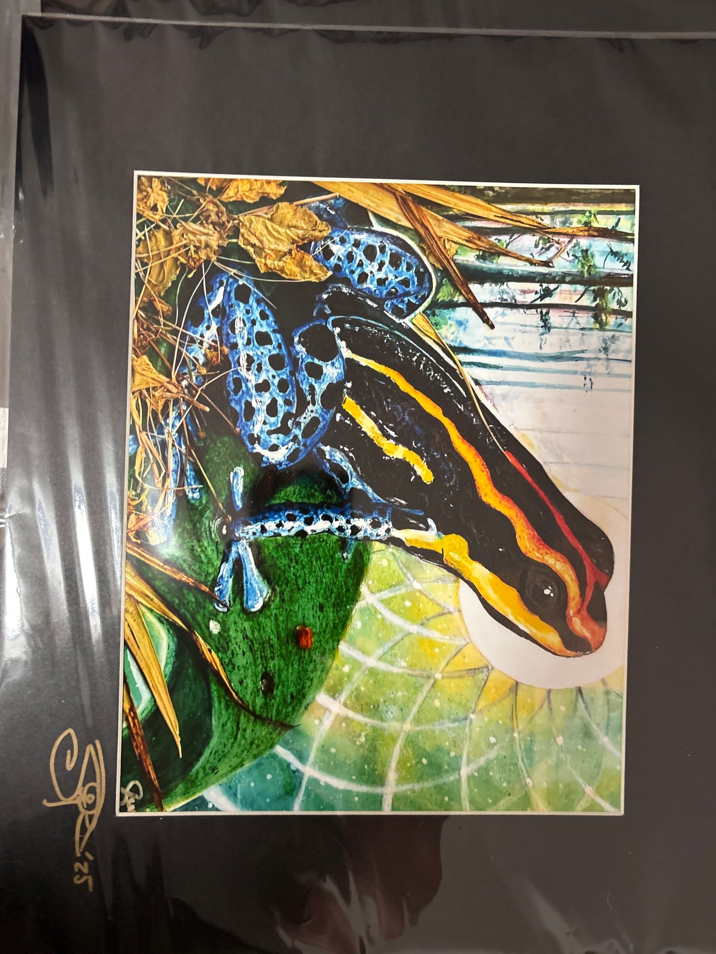 Amphibious - 8 x 10 by Eye of Swiger (Poster Print)