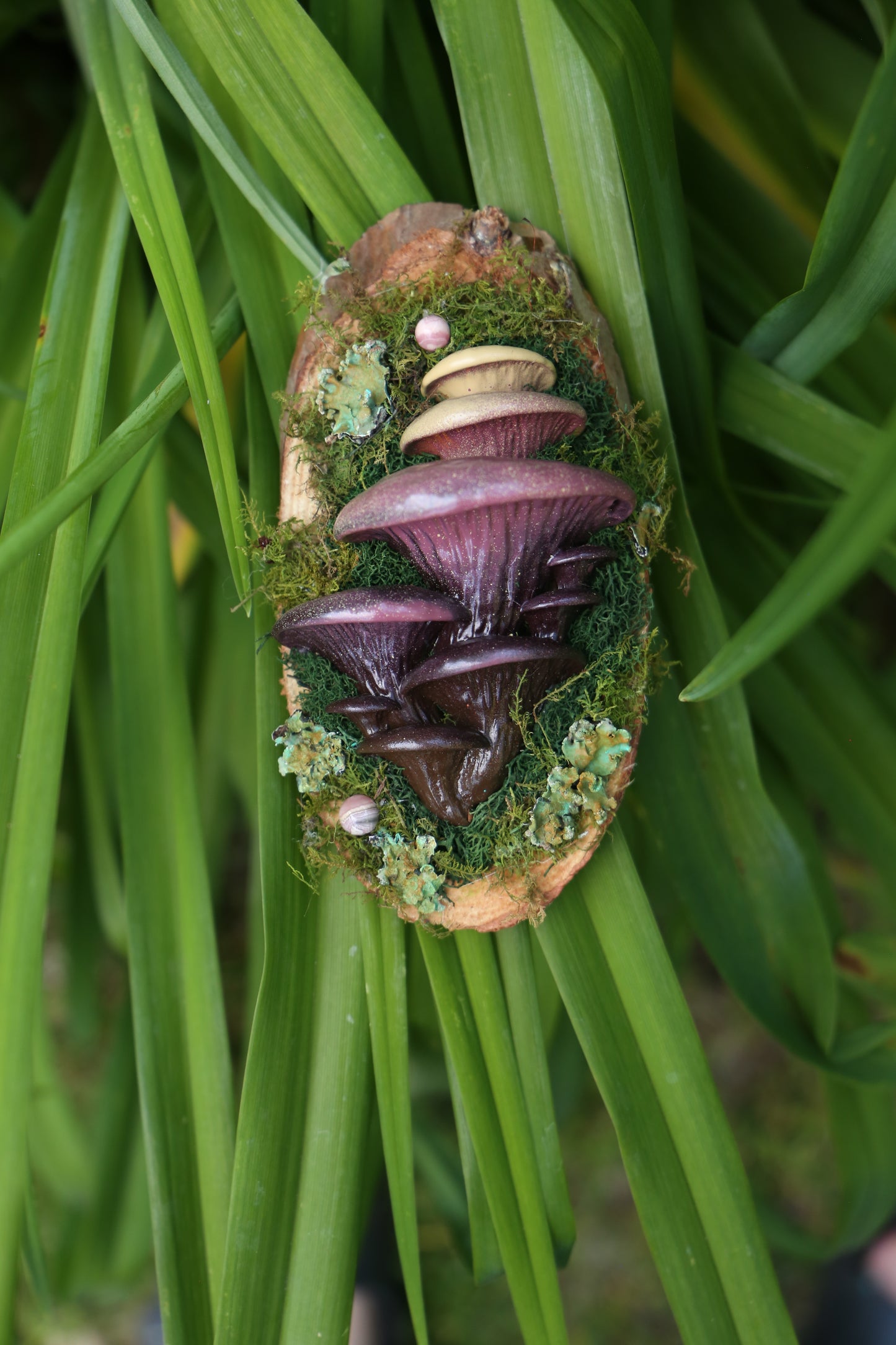 Oyster - Rhodocrosite - Small - 7 x 4 by Subloominal (3D Sculpture)