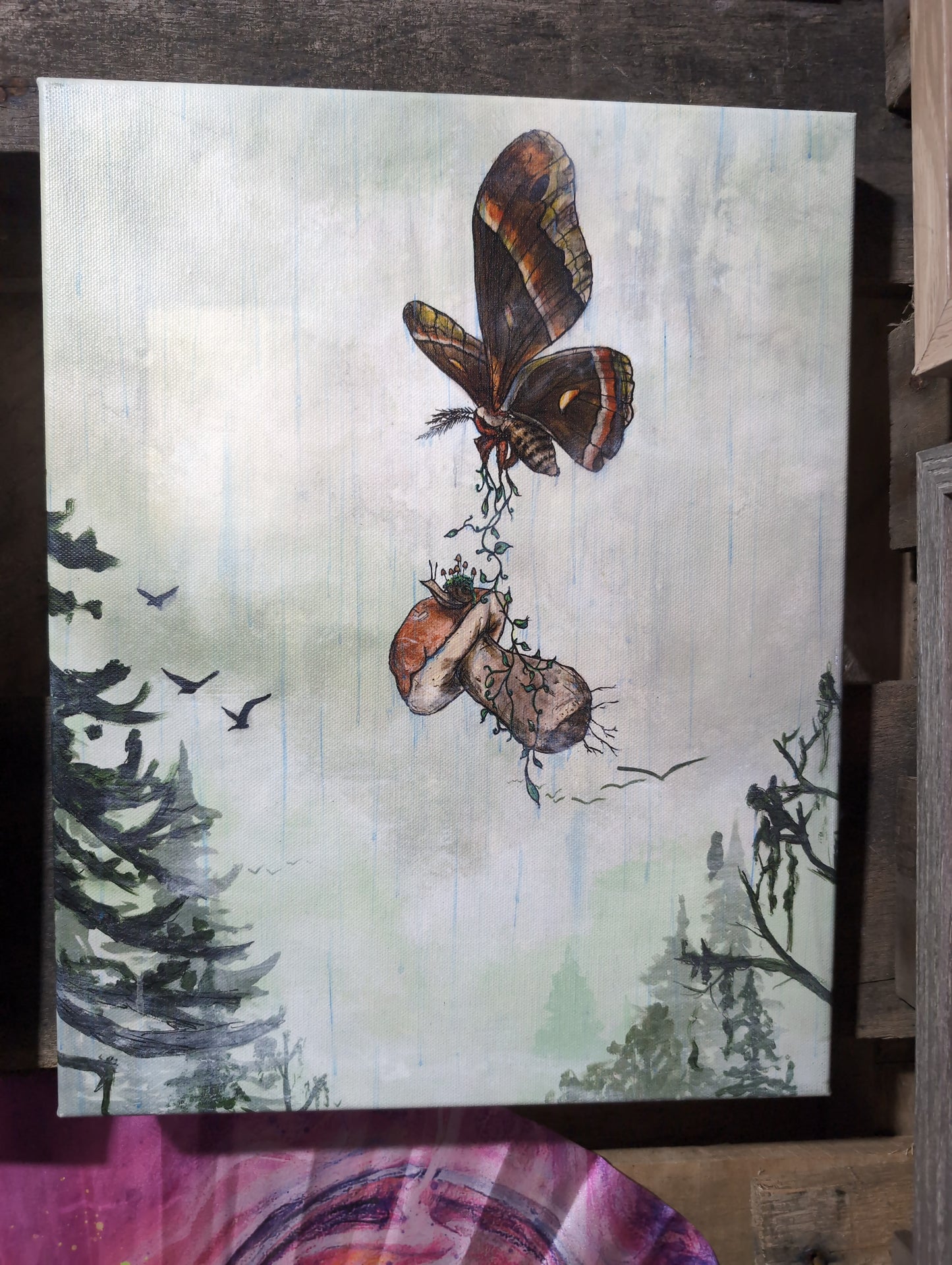 Spore Spreader pt. 1  - 11 x 14 by Fae of Ilaria  (Canvas Print)
