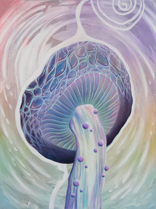 Swirl Spore - 12 x 16 by Subloominal  (Poster Print)