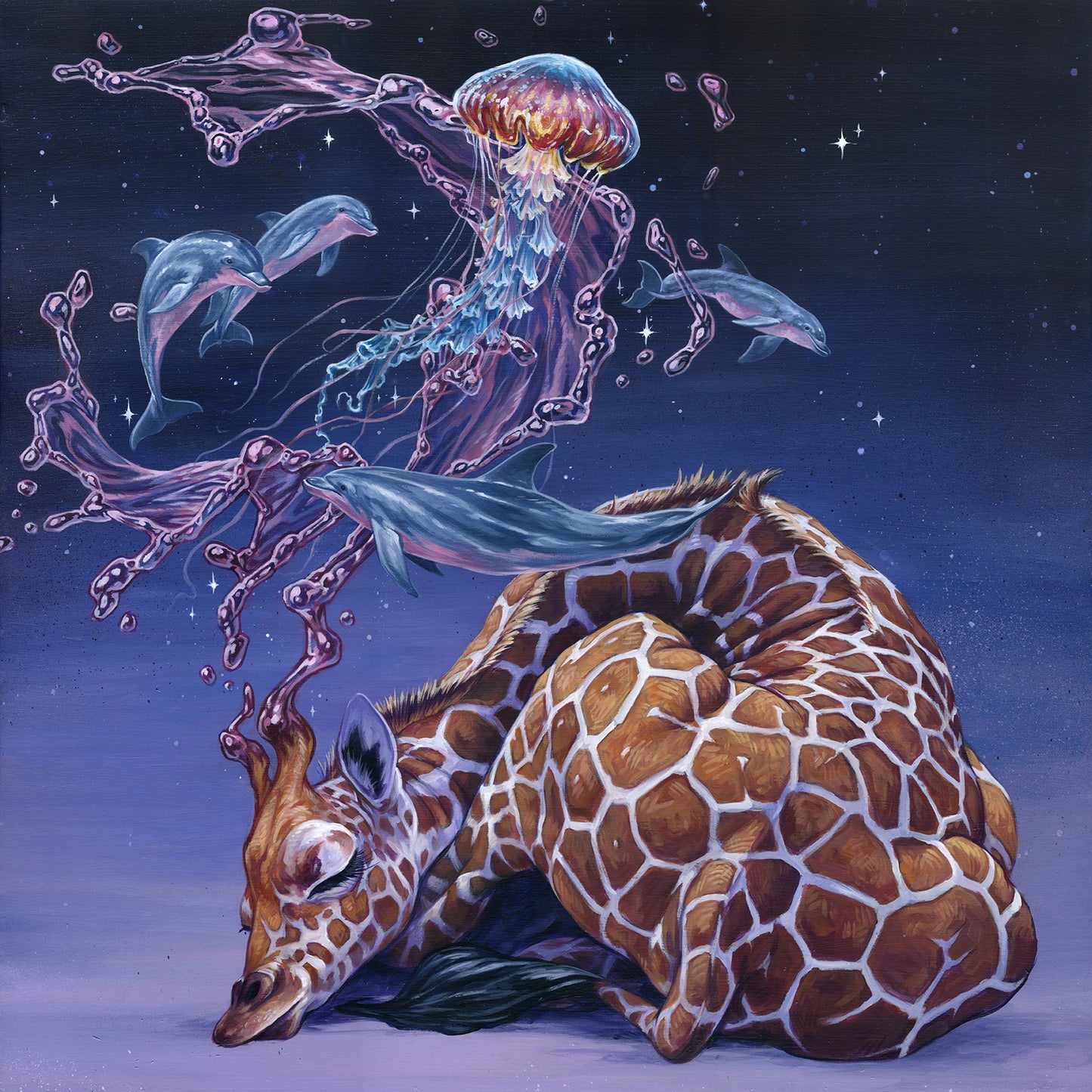 Liquid Lavender  - 16 x 16 by David Swartz (Canvas Print)