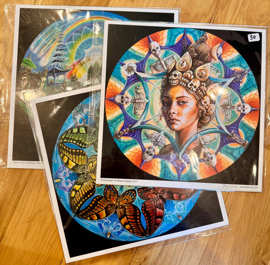 *Combo S,S - 10 x 10 by Morgan Mandala  (Poster Print)