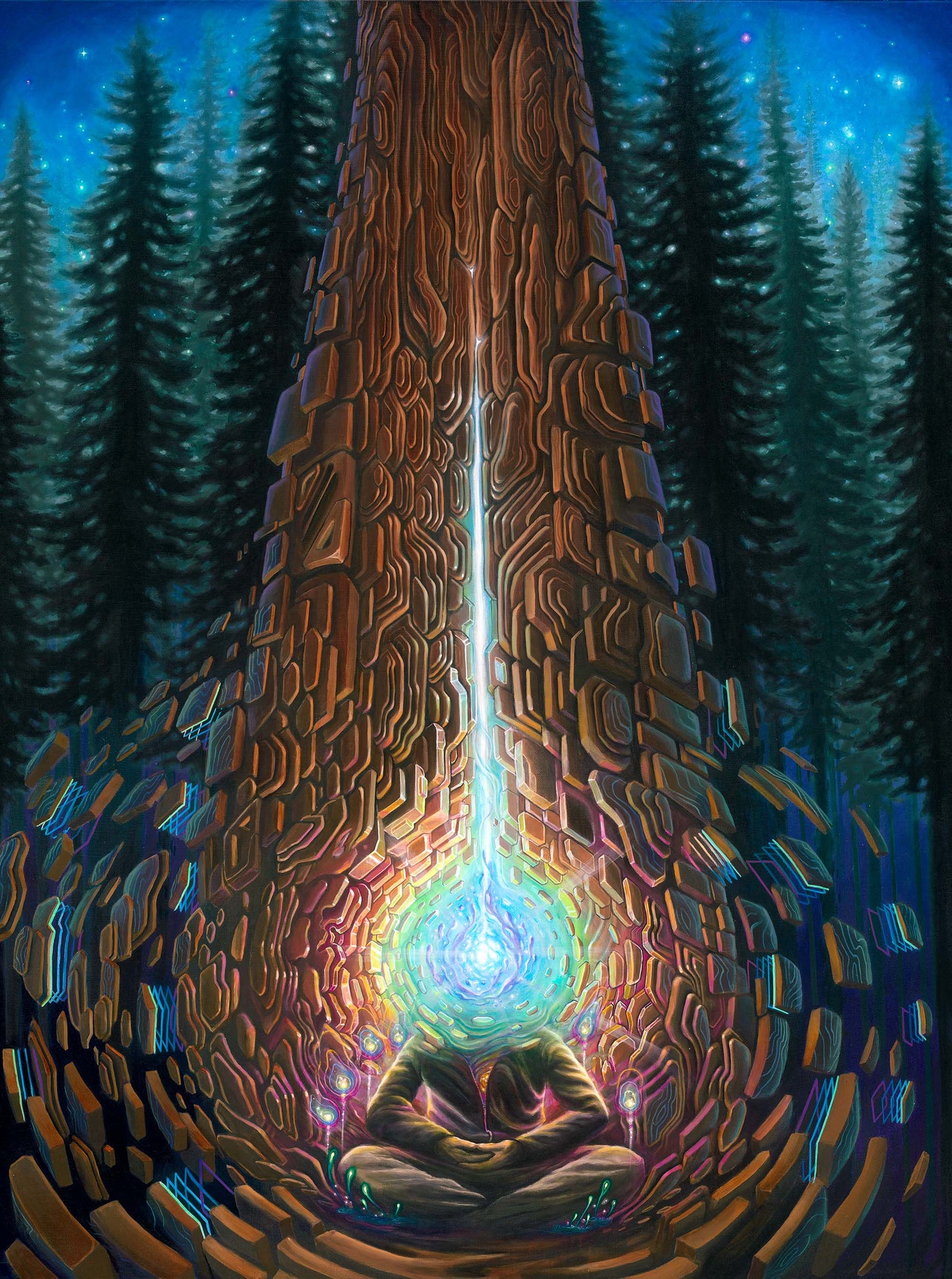Closer to the Core  - 20 x 15 by Sean Zenner (Canvas Print)
