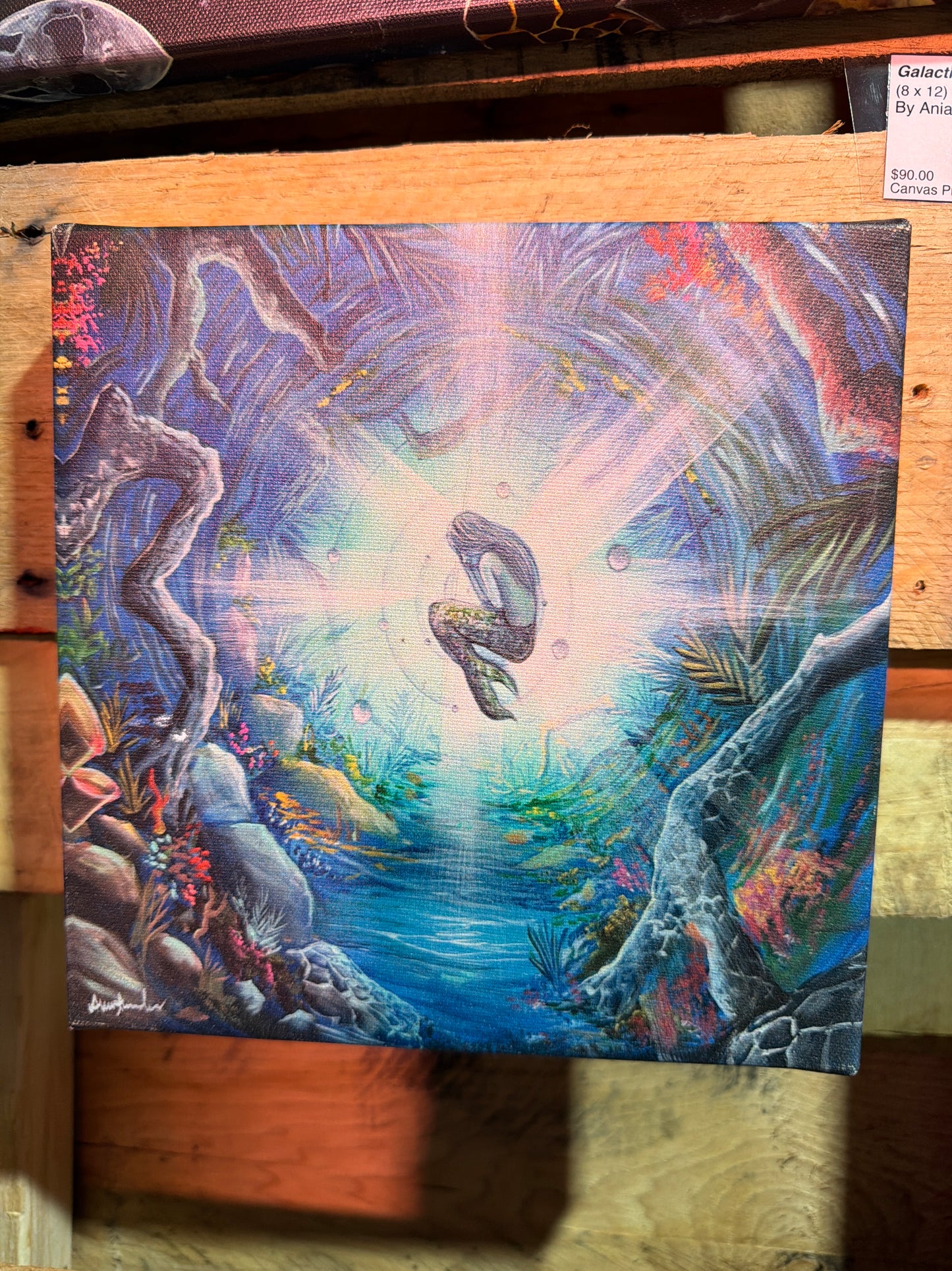 Mermaid in the Vortex - 8 x 8 by Ania Amador (Canvas Print)