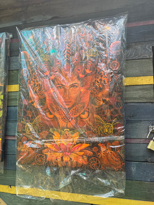 Healing mirror, medium canvas print - 25 x 18 by Alfredo Zagaceta (Canvas Print)