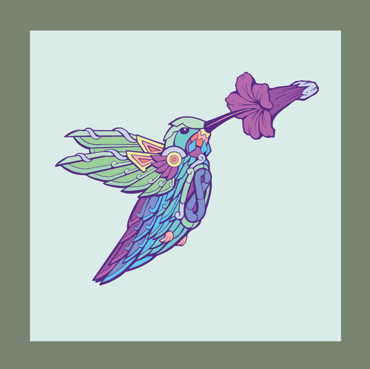 *Amrita (Hummingbird) - 5 x 5 by Rutherford (Poster Print)