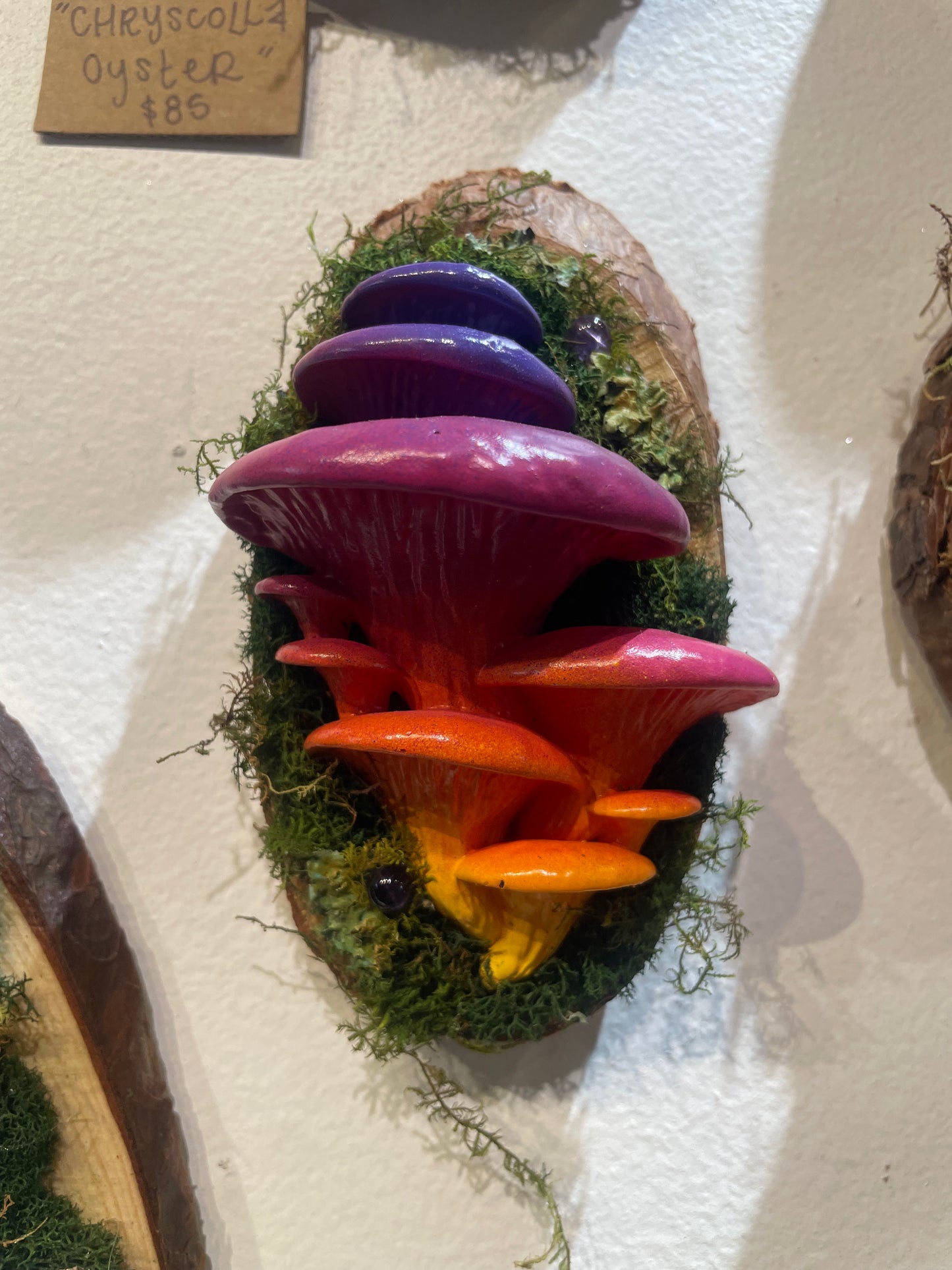 Oyster -  Sunrise Amethyst  - 7 x 4 by Subloominal  (3D Sculpture)