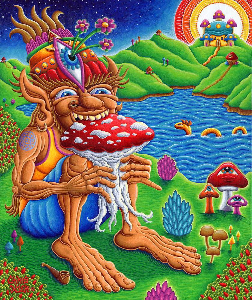Muncher of Mushroom Land - 17 x 14 by Chris Dyer (Canvas Print)
