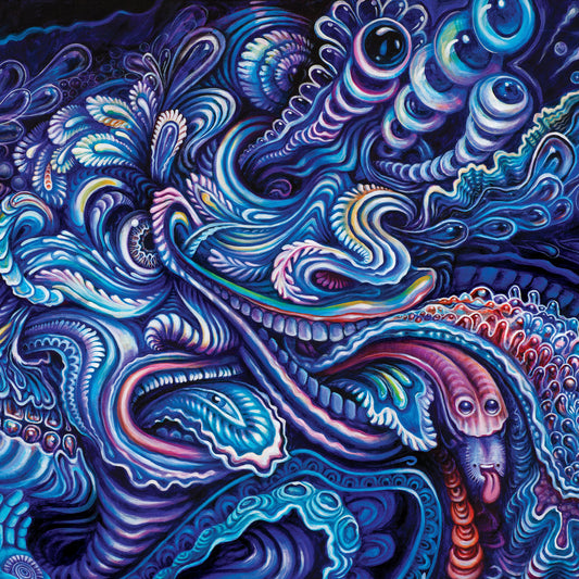 Wowza - 8 x 8 by Mr. Melty  (Canvas Print)