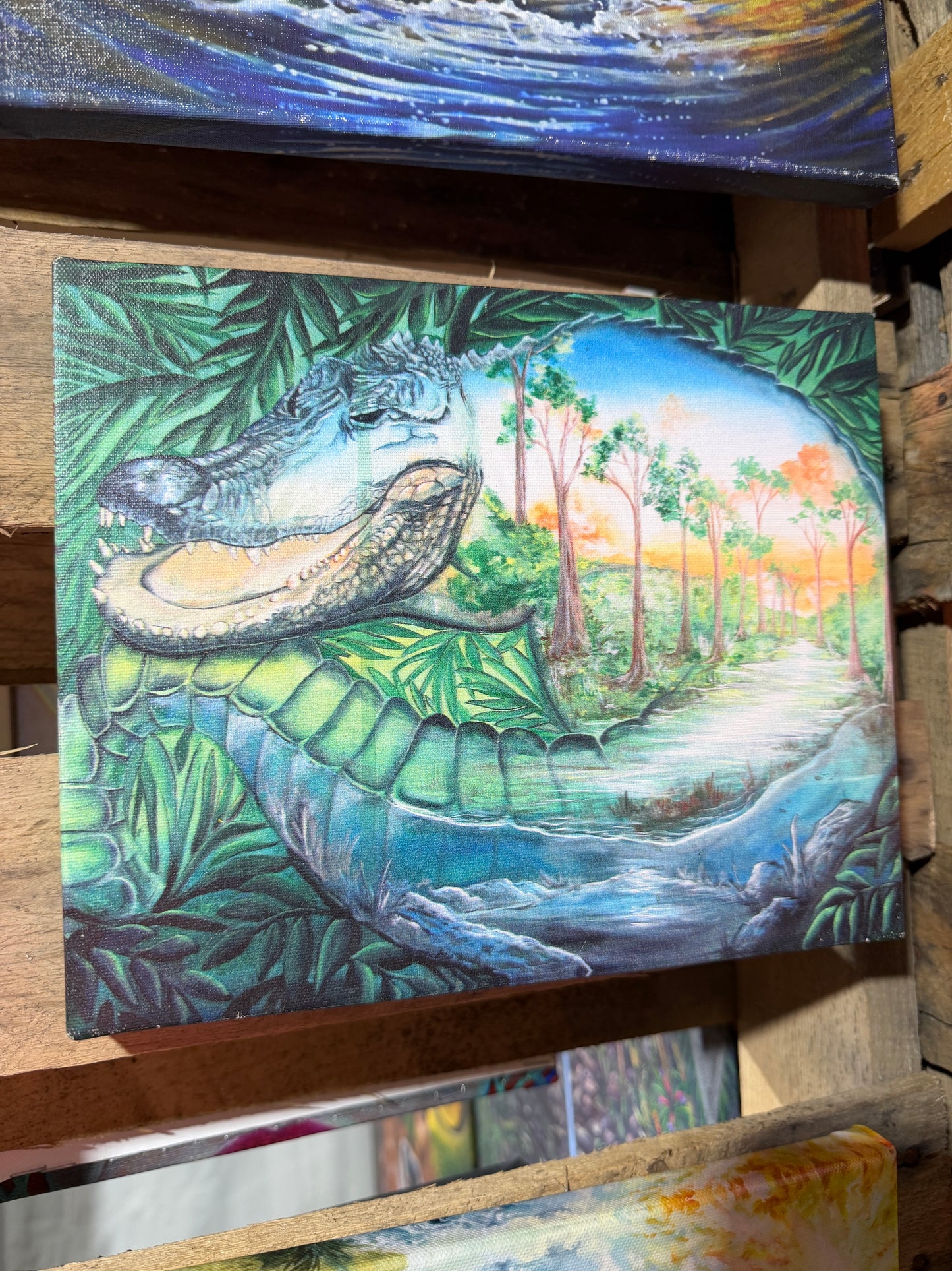 Forever Glades (Anamorphosis Arts) - 8 x 10 by Ania Amador (Canvas Print)