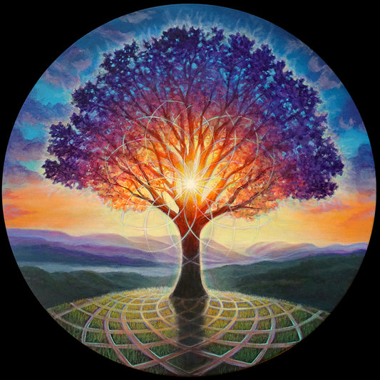 Tree of Light - 20 x 20 by Morgan Mandala  (Canvas Print)