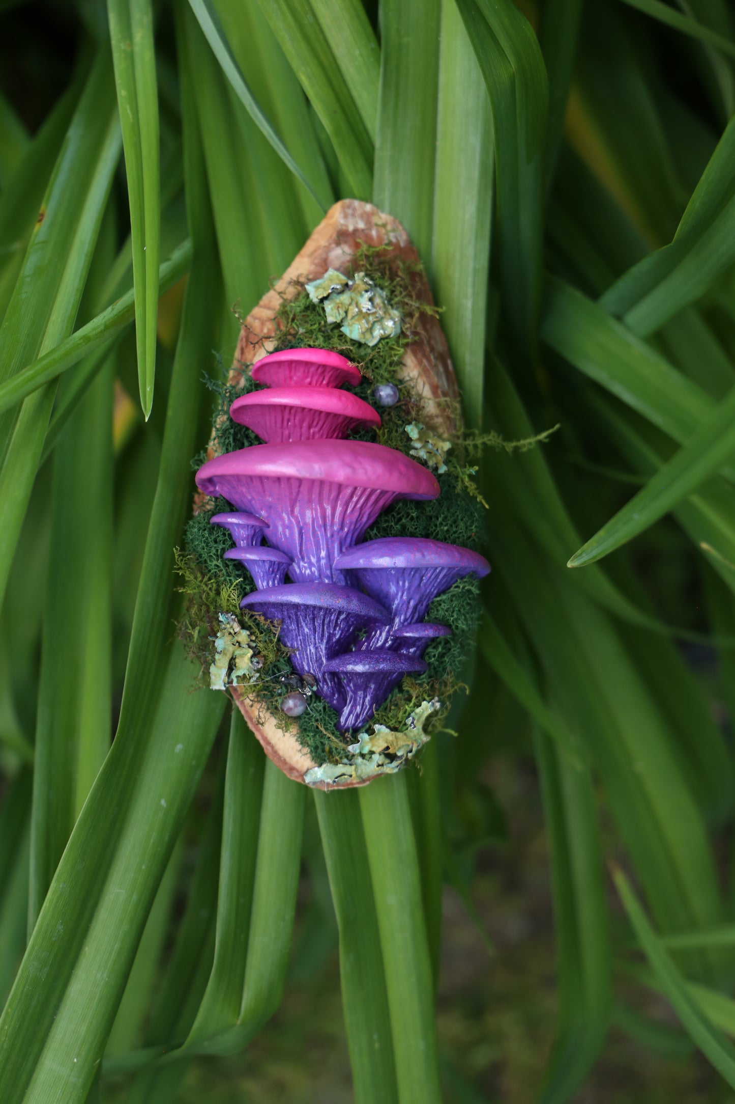 Oyster - Tourmaline - 7 x 4 by Subloominal  (3D Sculpture)