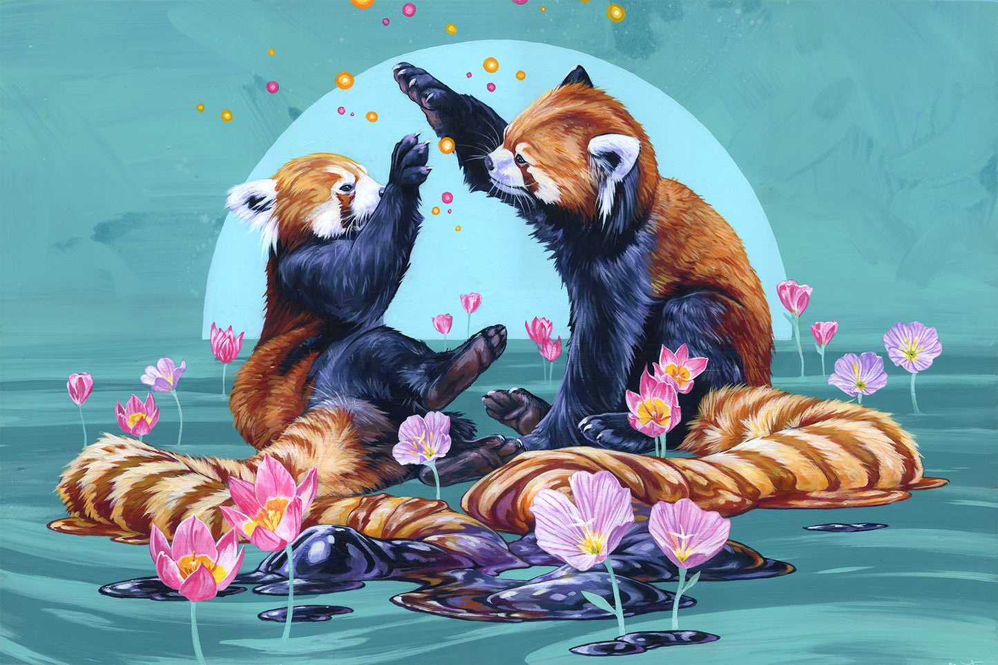 Play Date - 16 x 24 by David Swartz (Canvas Print)