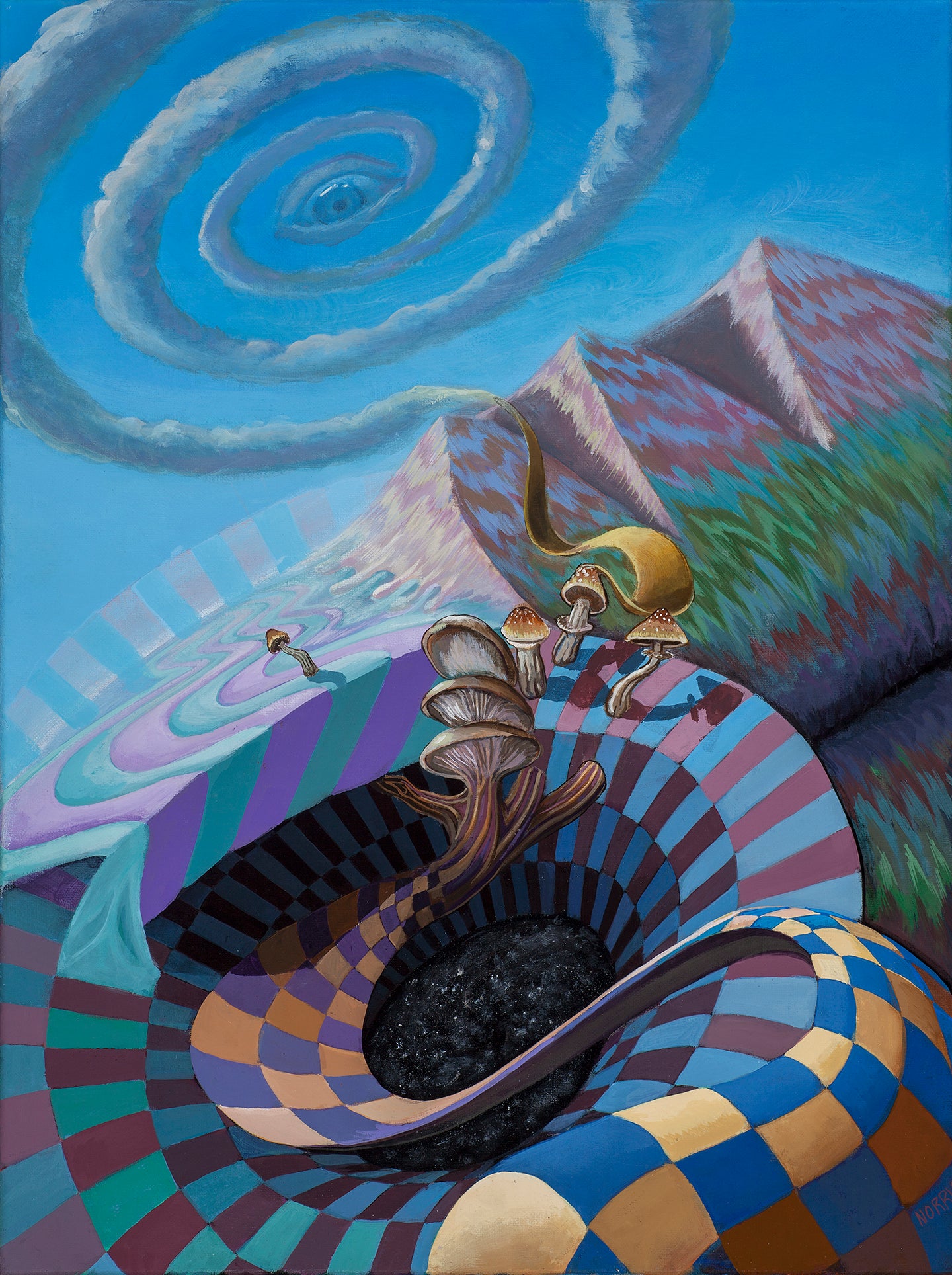 Nature Boi - 16 x 12 by Andrew Norris Arts (Canvas Print)