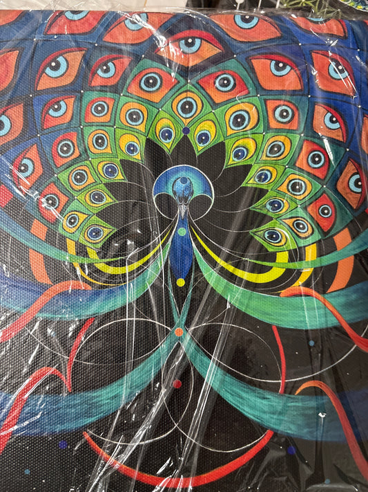 Dream Weaver - 8 x 8 by Eye of Swiger (Canvas Print)