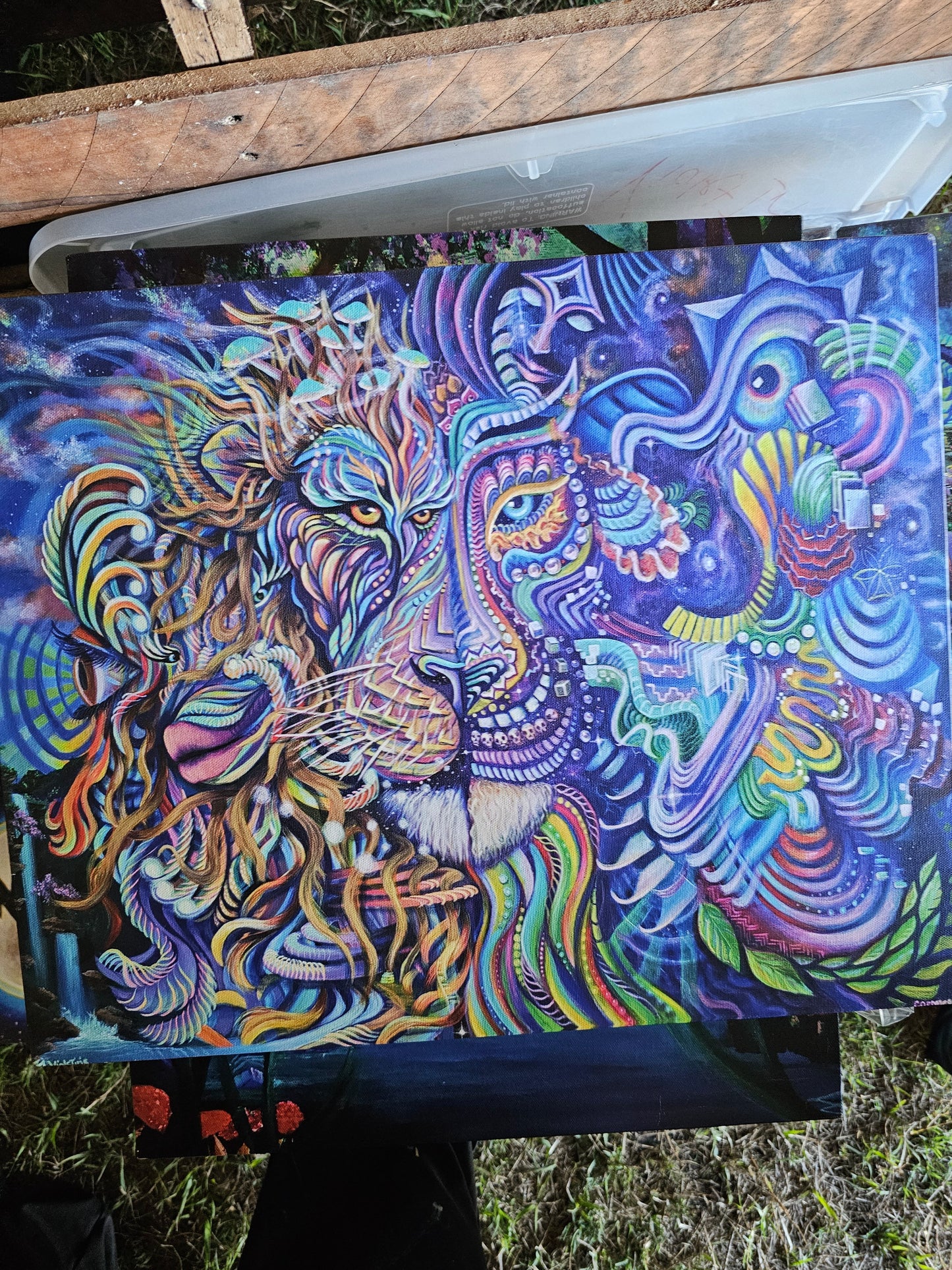 Cosmic Iris Lion Collab - 8 x 10 by VioletIris (Canvas Print)