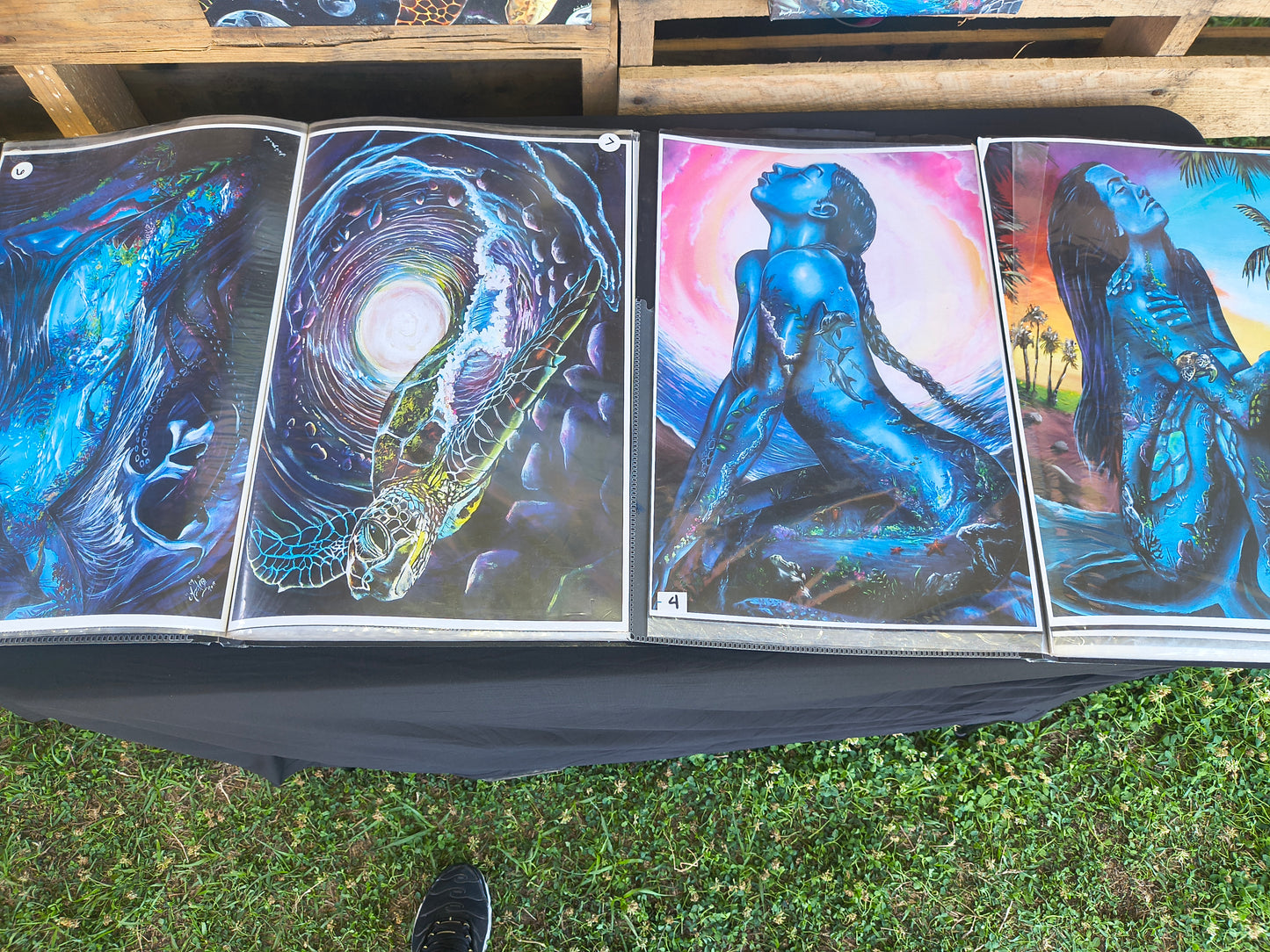 *Assorted Poster Prints  - 11 x 17 by Ania Amador (Poster Print)