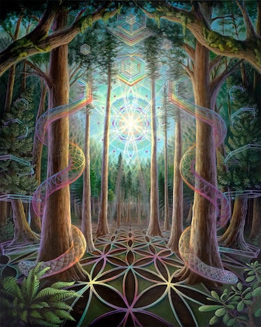 Thru the Trees - 40 x 32 by Morgan Mandala  (Canvas Print)