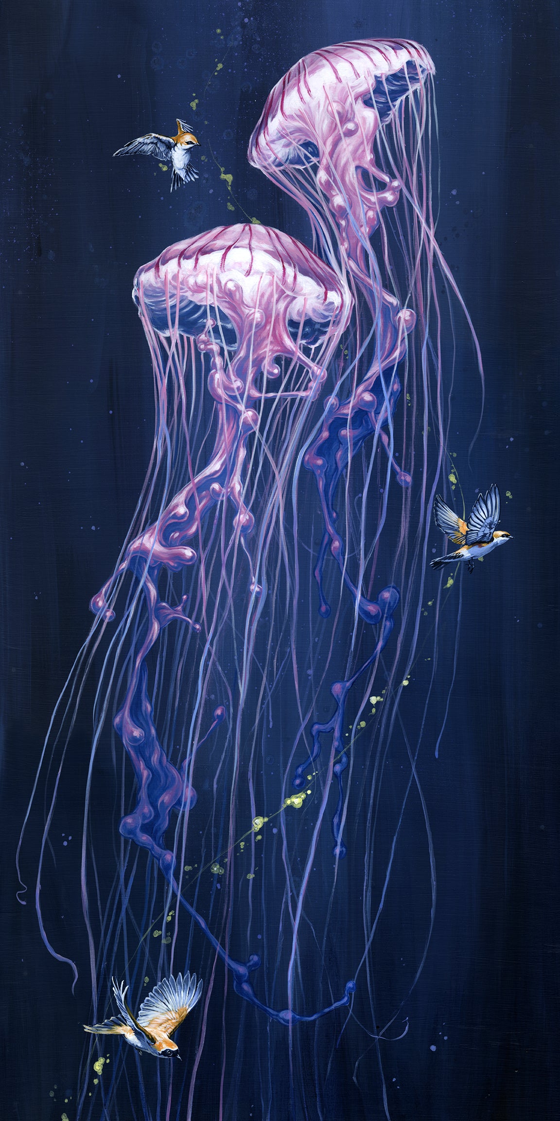 Floating Towards Faith - 20 x 10 by David Swartz (Canvas Print)