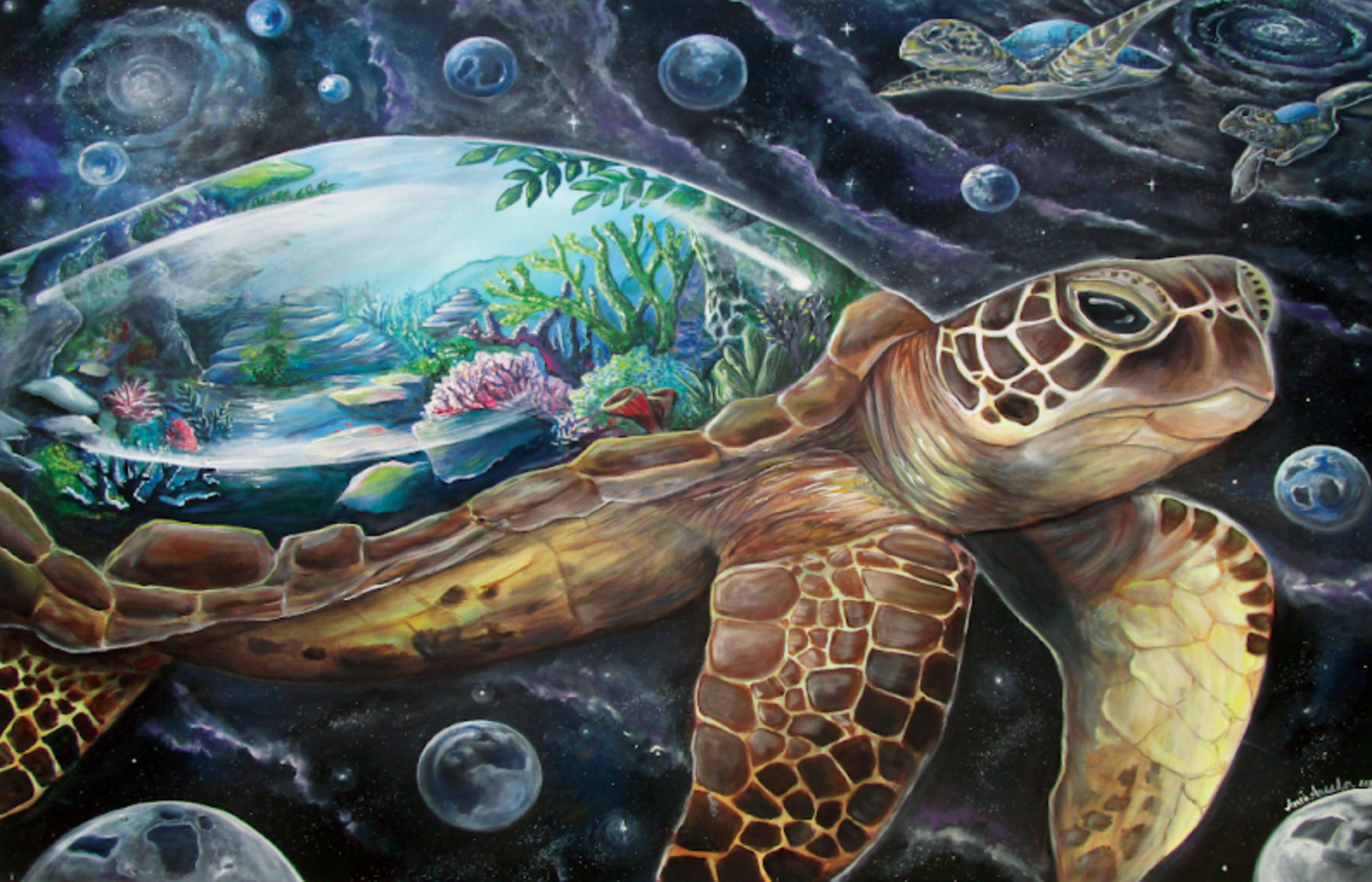 Galactic Seashell - 8 x 12 by Ania Amador (Canvas Print)