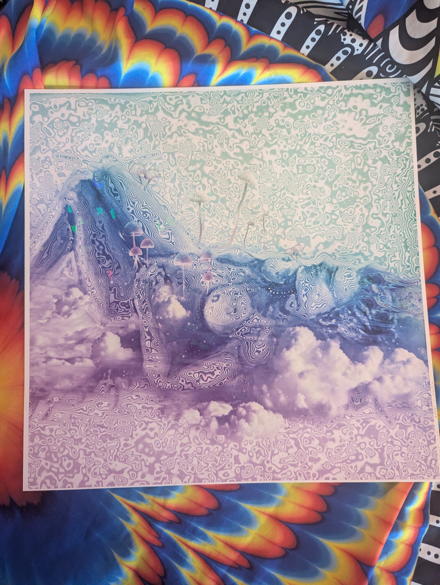 *Violet Dreamer - 12 x 12 by Sugarcube Lab (Poster Print)
