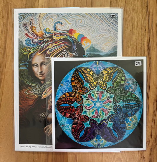 *Combo L,S / M,M - 12 x 12 by Morgan Mandala  (Poster Print)