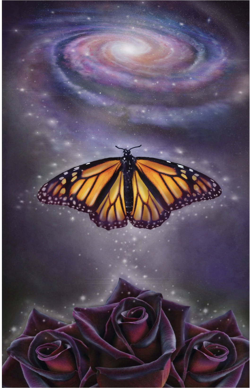 Eternity - 17 x 11 by Subloominal  (Poster Print)
