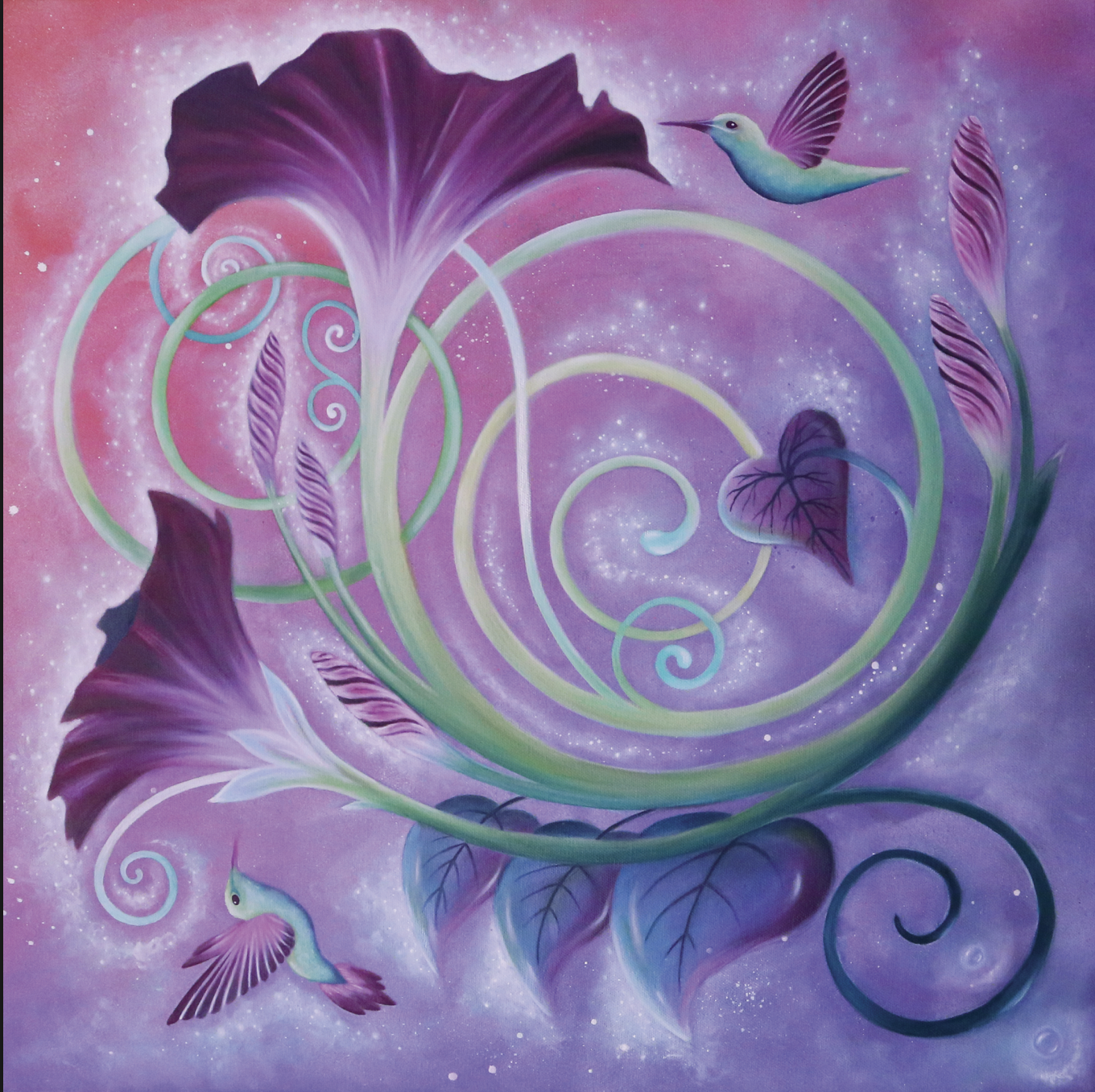 Morning Glory - 12 x 12 by Subloominal  (Poster Print)