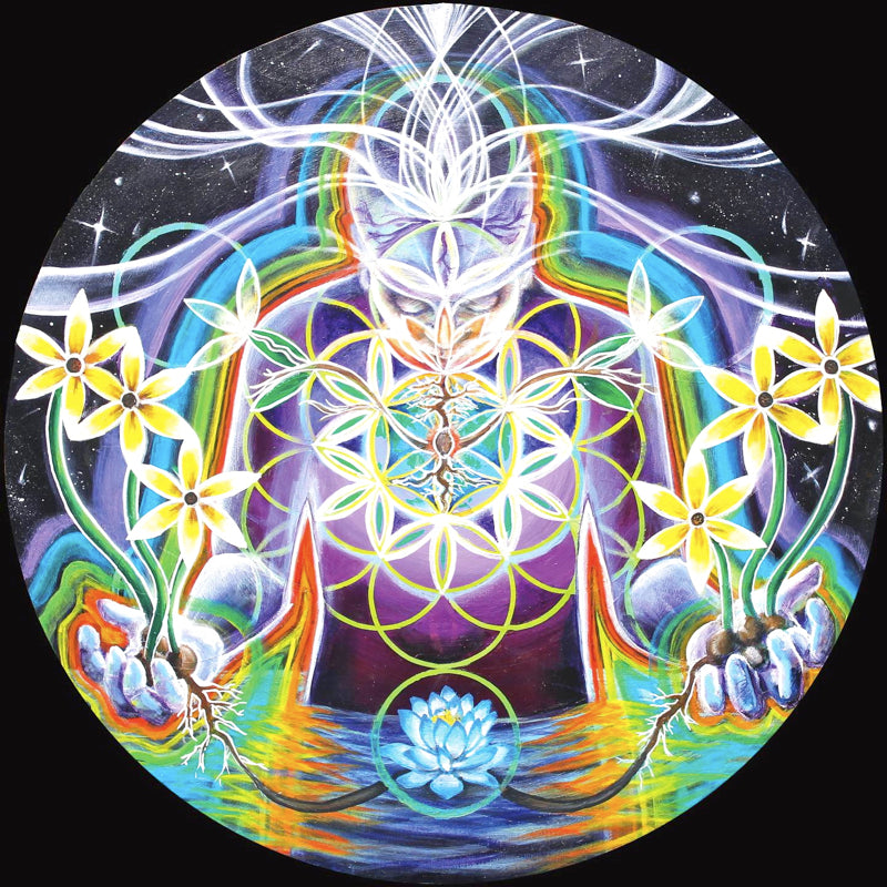 Seeds of Life Within - 8 x 8 by Morgan Mandala  (Canvas Print)