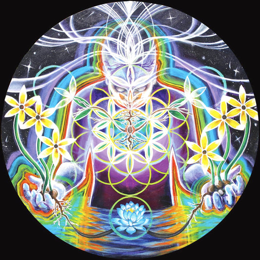 Seeds of Life Within - 8 x 8 by Morgan Mandala  (Canvas Print)
