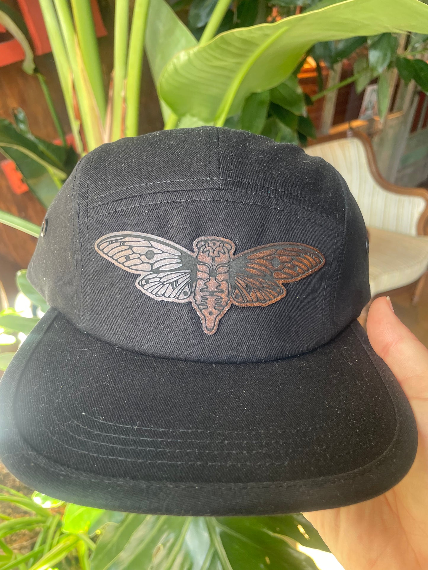 Hat - Black - Cicada by Subloominal  (Apparel)