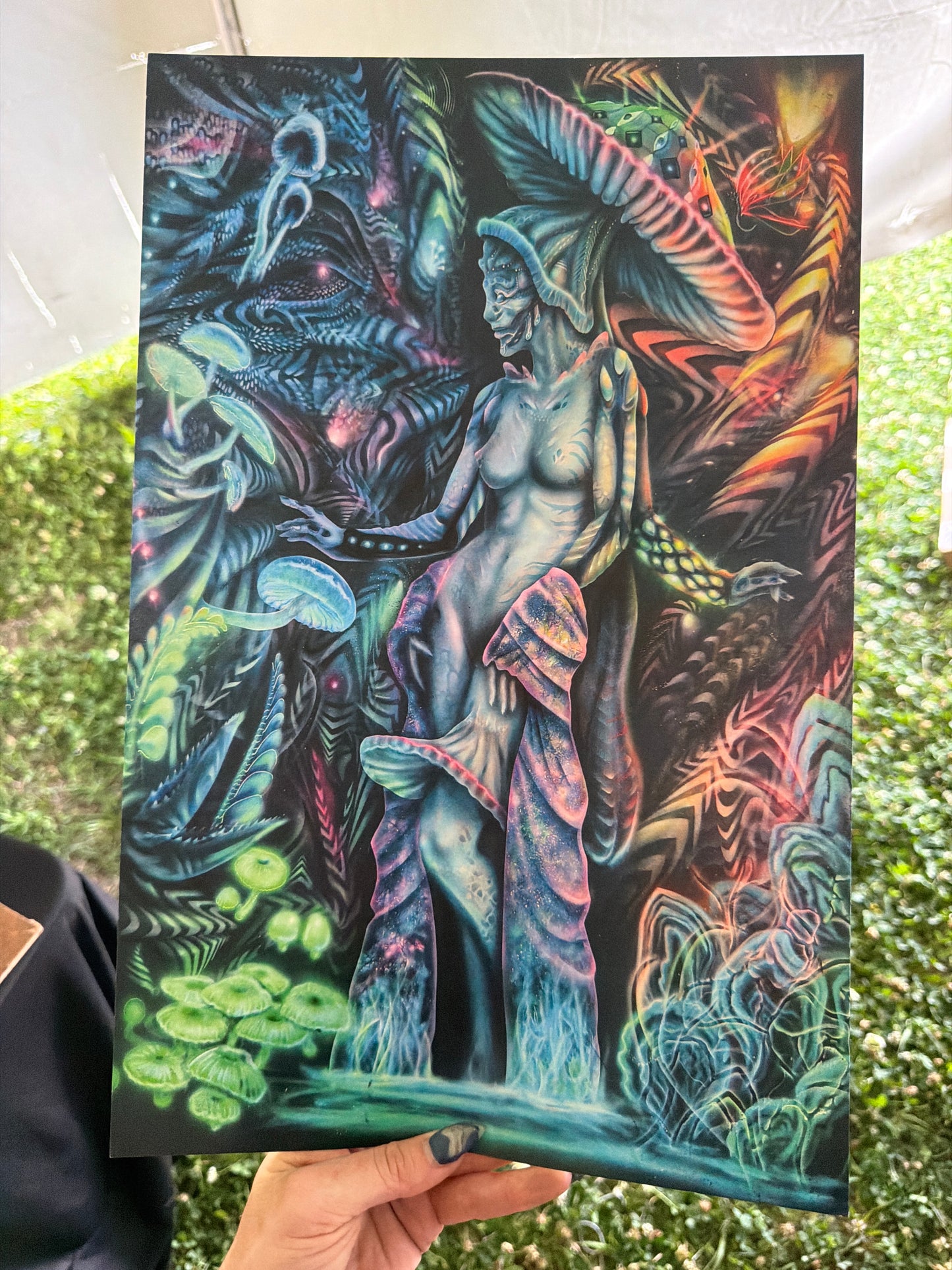 *Kahu Myclia *Paper Print* by Ocean Man  (Poster Print)