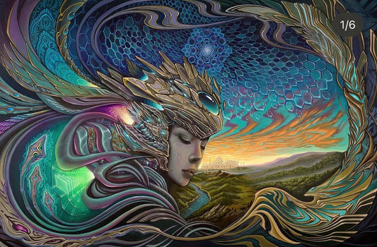 Entheogenesis  - 16 x 24 by Sean Zenner (Canvas Print)