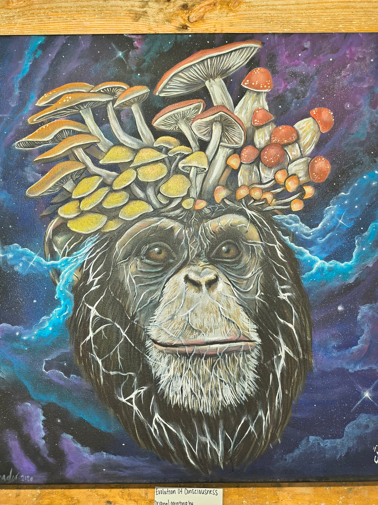 *Evolution of Consciousness  - 20 x 20 by Ania Amador (Original)