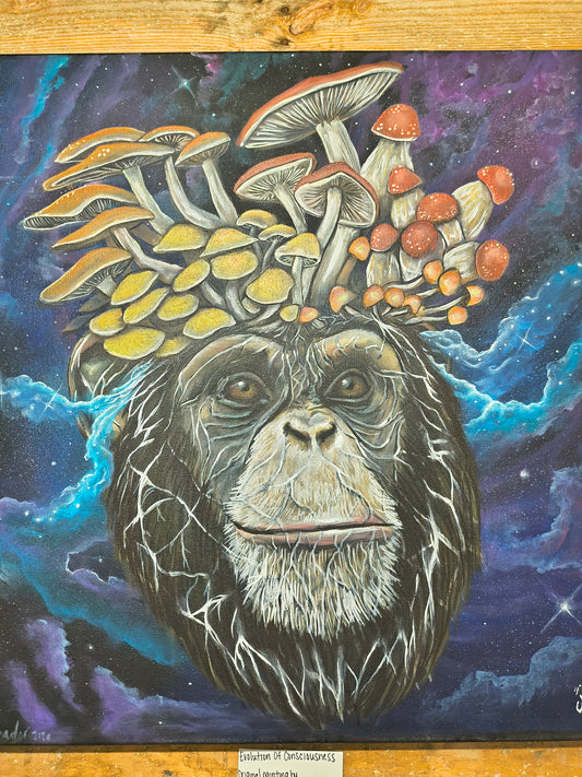 *Evolution of Consciousness  - 20 x 20 by Ania Amador (Original)