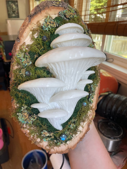 BioShroom - Labradorite  - 7 x 8 by Subloominal  (3D Sculpture)