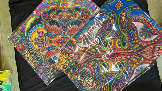 *Pashmina - One Size Fits All by Chris Dyer (Apparel)