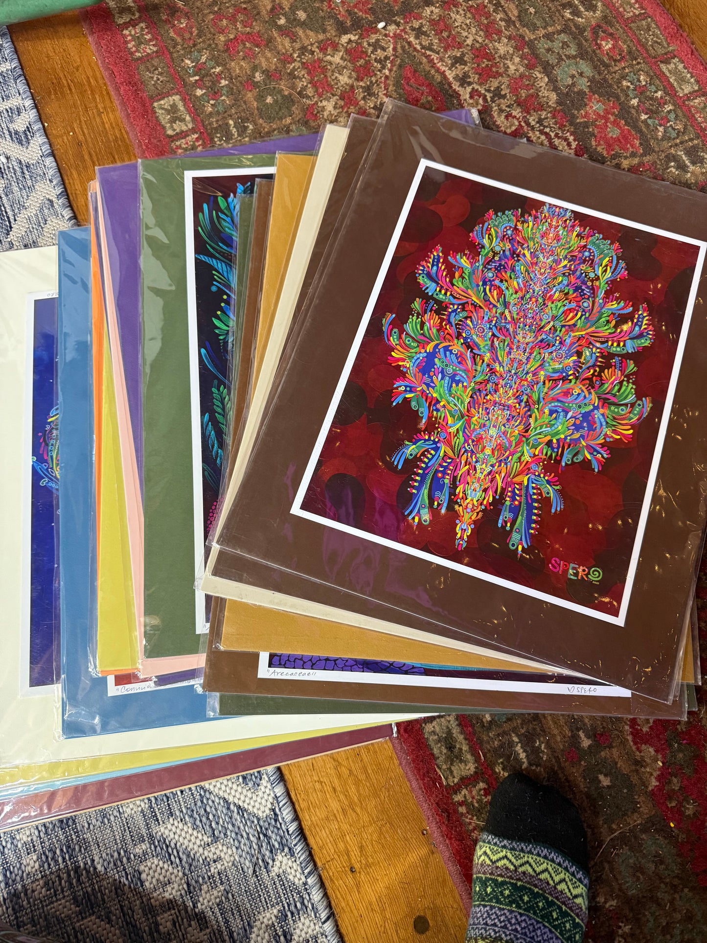 Assorted matted paper prints in sleeves  - 20 x 16 by Spero Art (Poster Print)