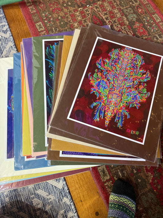 Assorted matted paper prints in sleeves  - 20 x 16 by Spero Art (Poster Print)