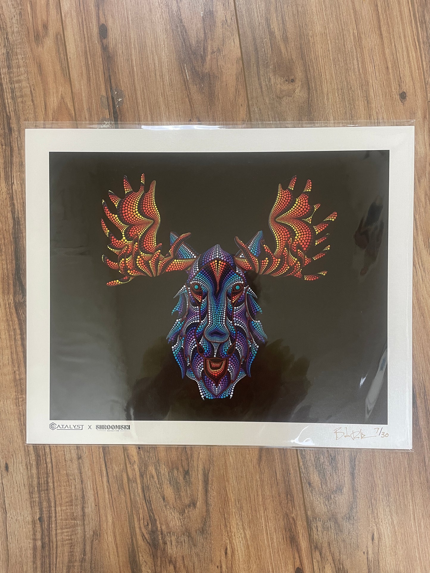 *Luminous Moose - 14 x 17 by Brandon Rollin (Poster Print)