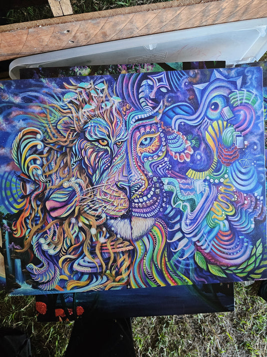 Cosmic Irus Lion Collab - 8 x 10 by VioletIris (Canvas Print)